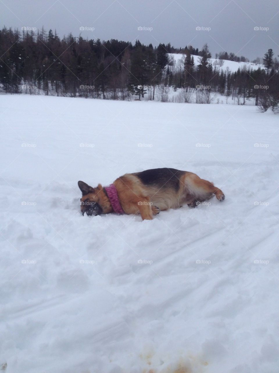 Enjoying the snow 🌨