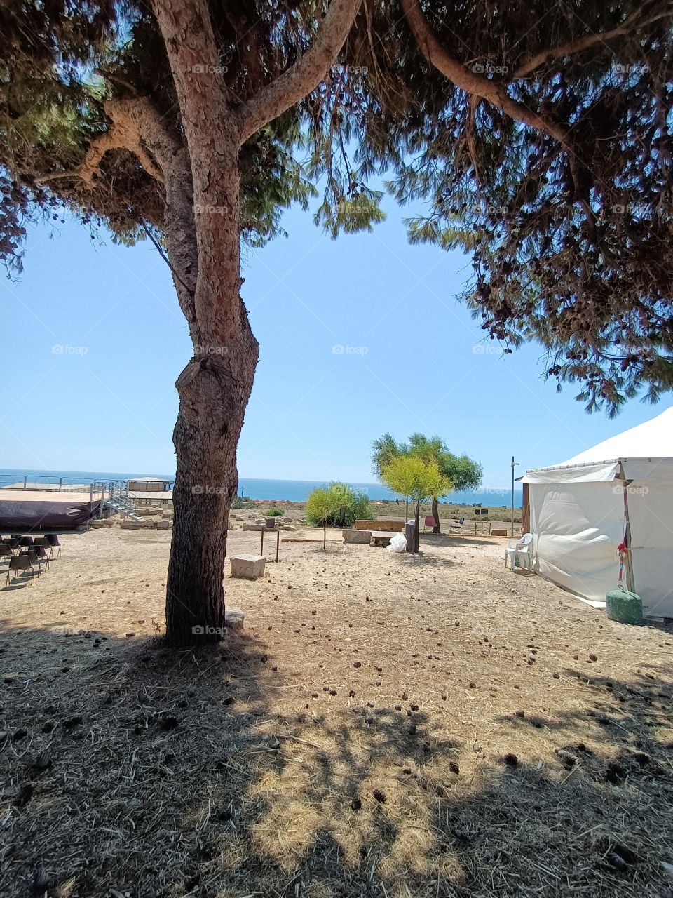 natura alberi cielo mare