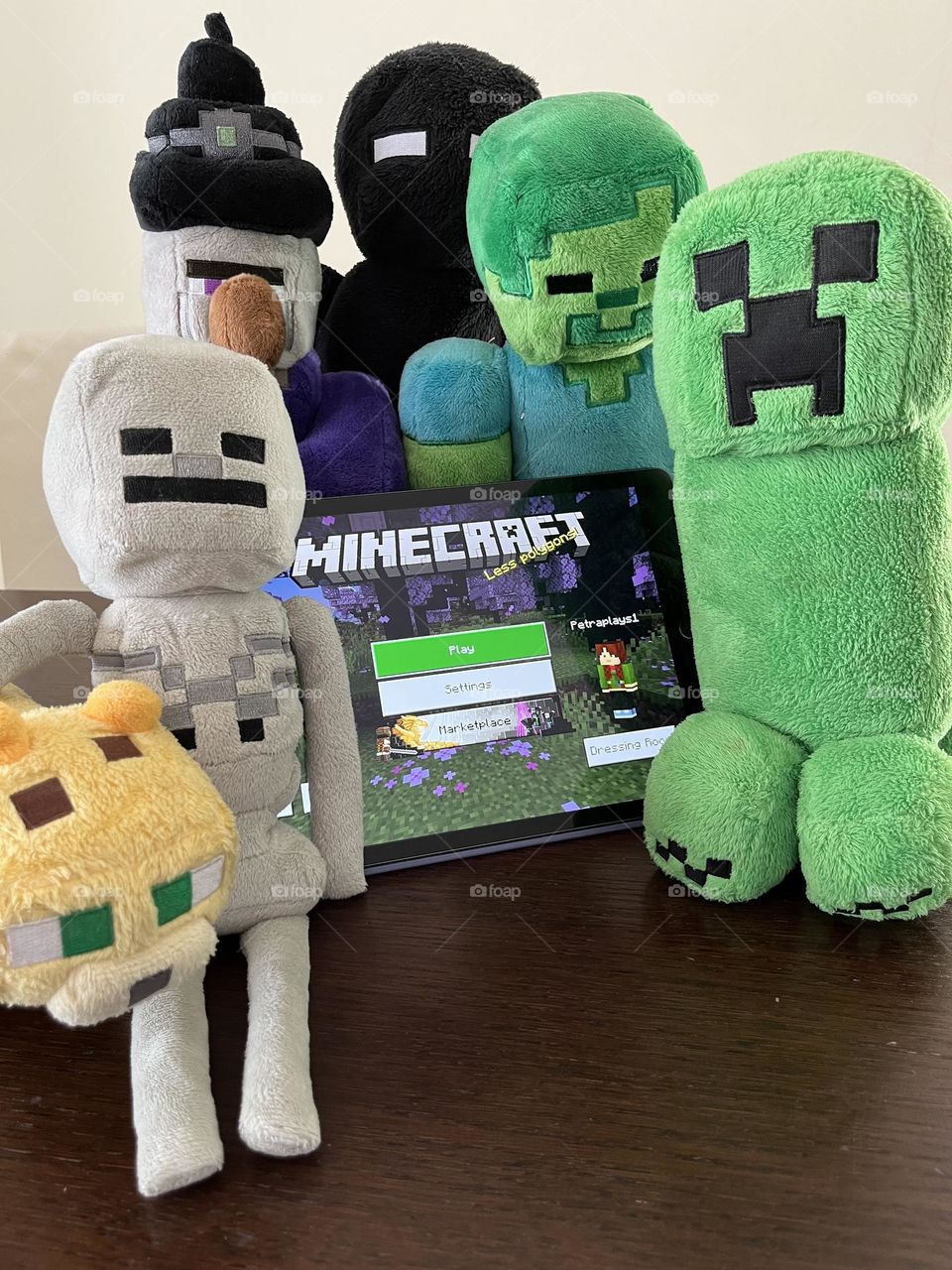 Minecraft family 