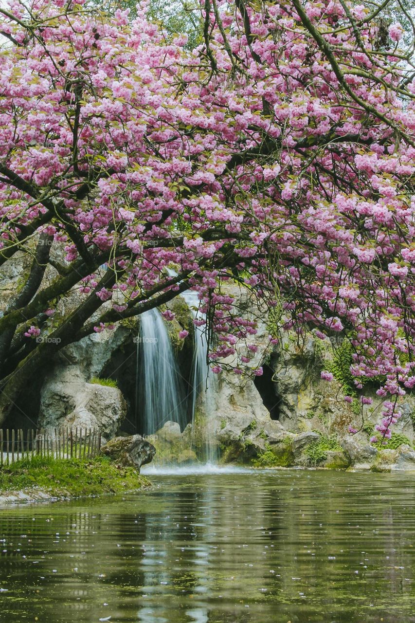 a waterfall in the park