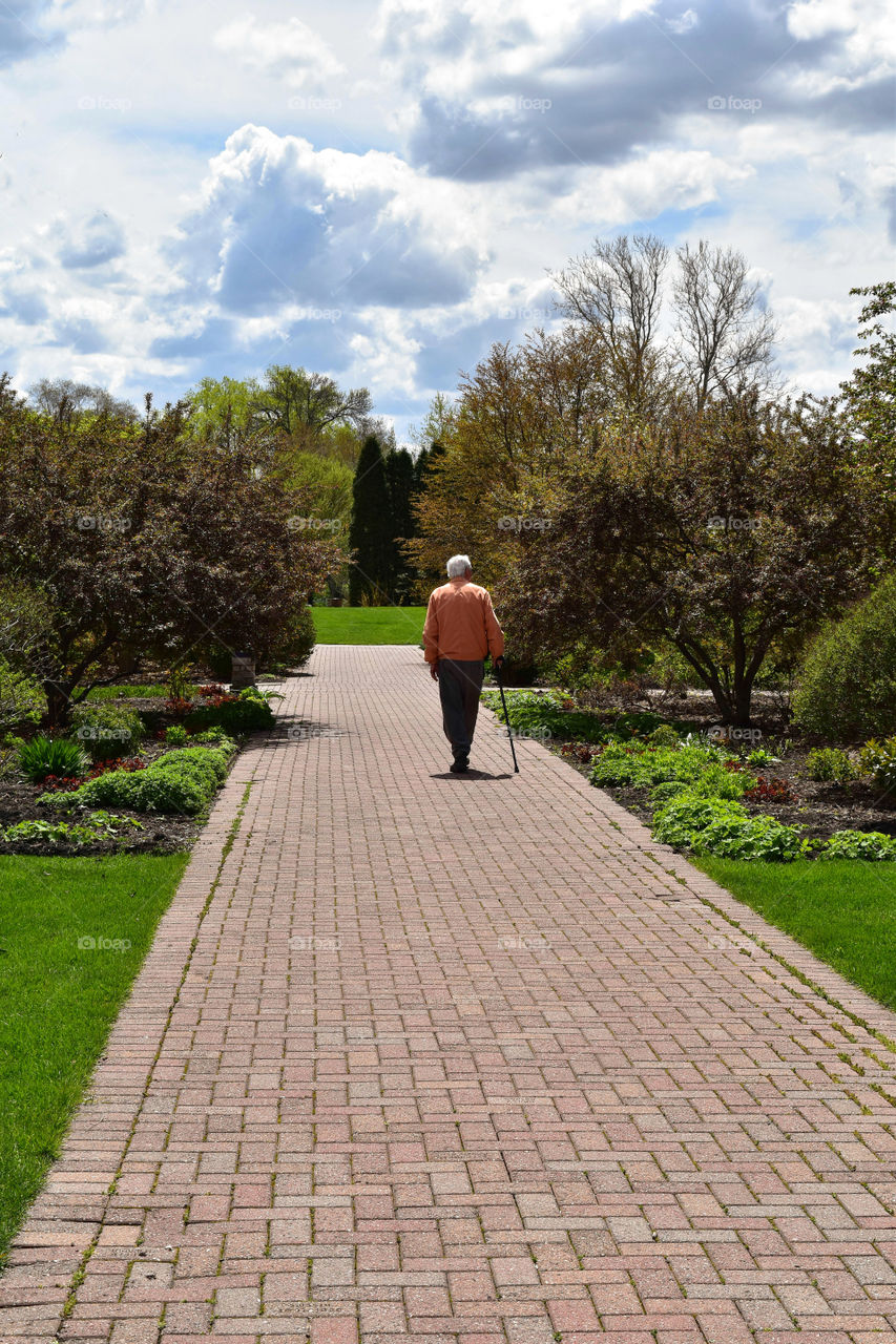 Elderly man walking in a garden