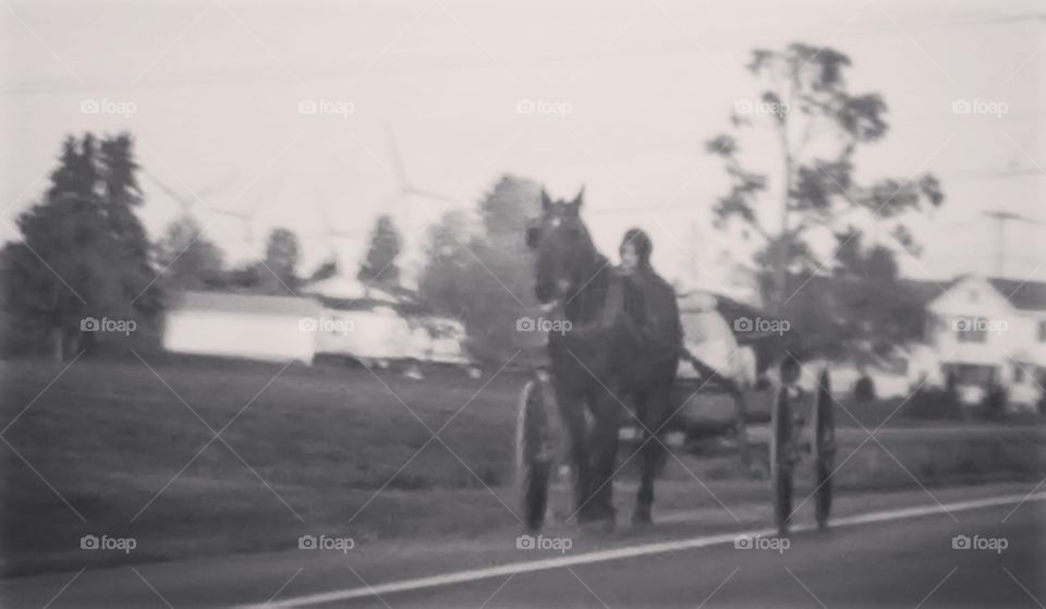 People, Vehicle, Transportation System, Adult, Cavalry