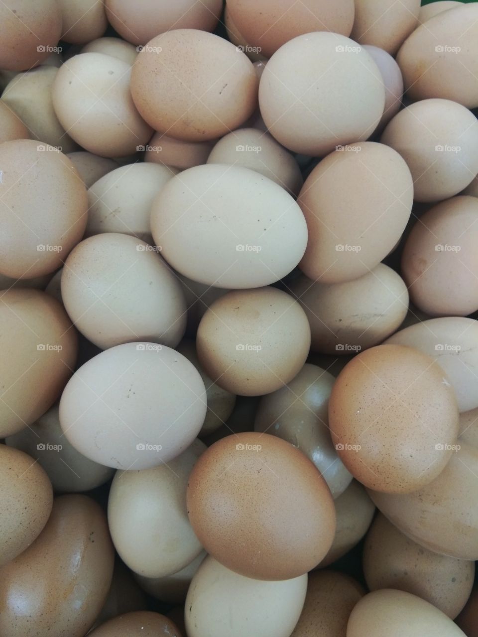 domestic chicken eggs ready for cunsumption
