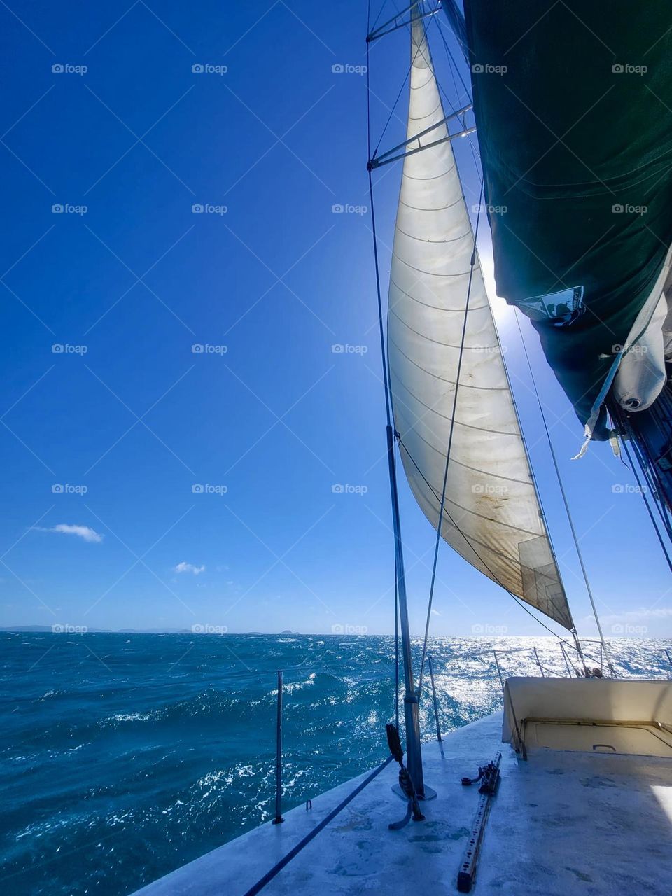 Sailing in the coral sea