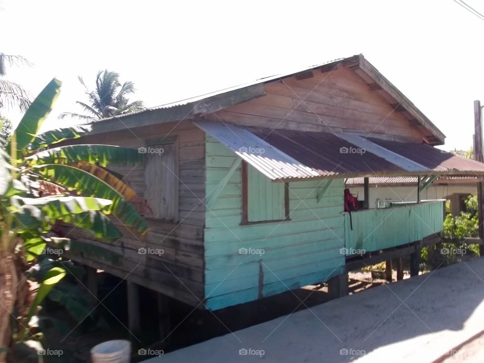 Picture from moving car traveling in Roatan Honduras  