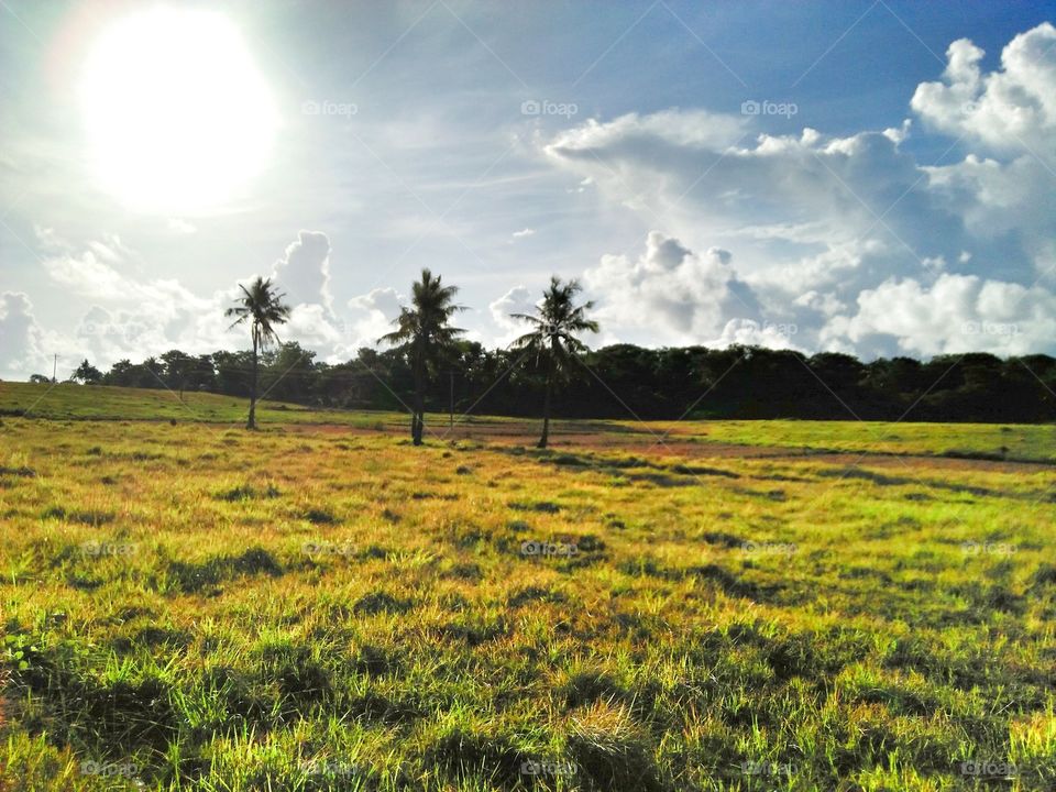 Morning walk in this beautiful trail