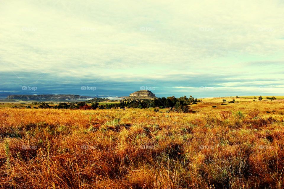 fouriesburg area south africa
