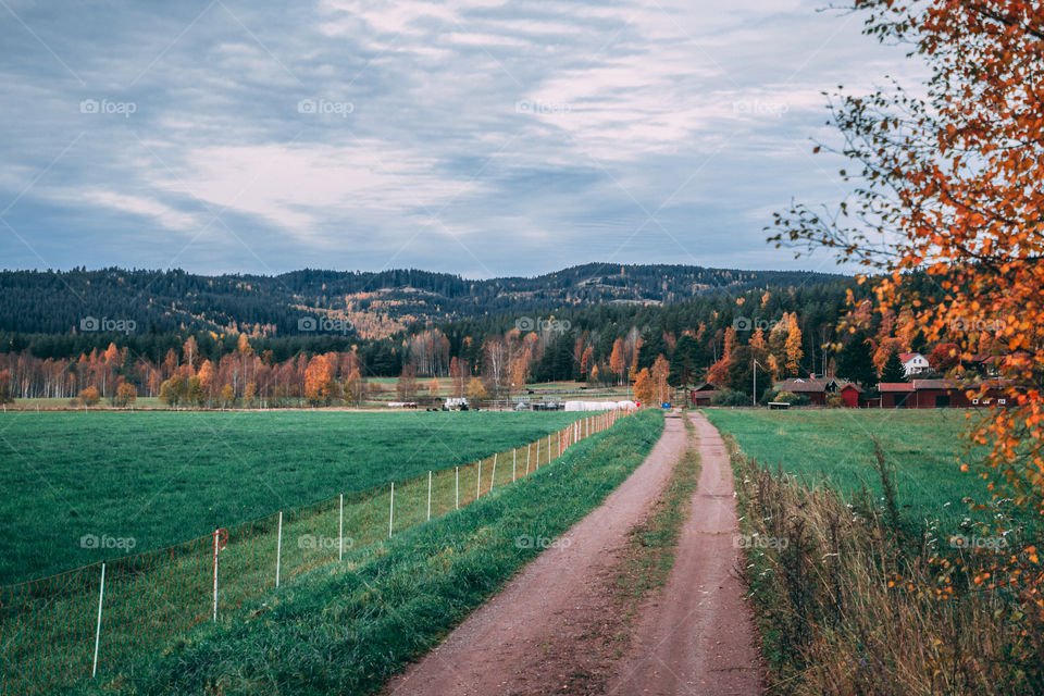 Landscape in Dalarna, Sweden. 