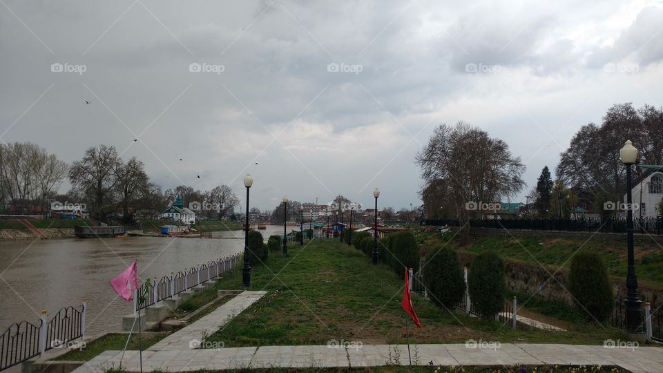 Tree, Landscape, River, City, Water