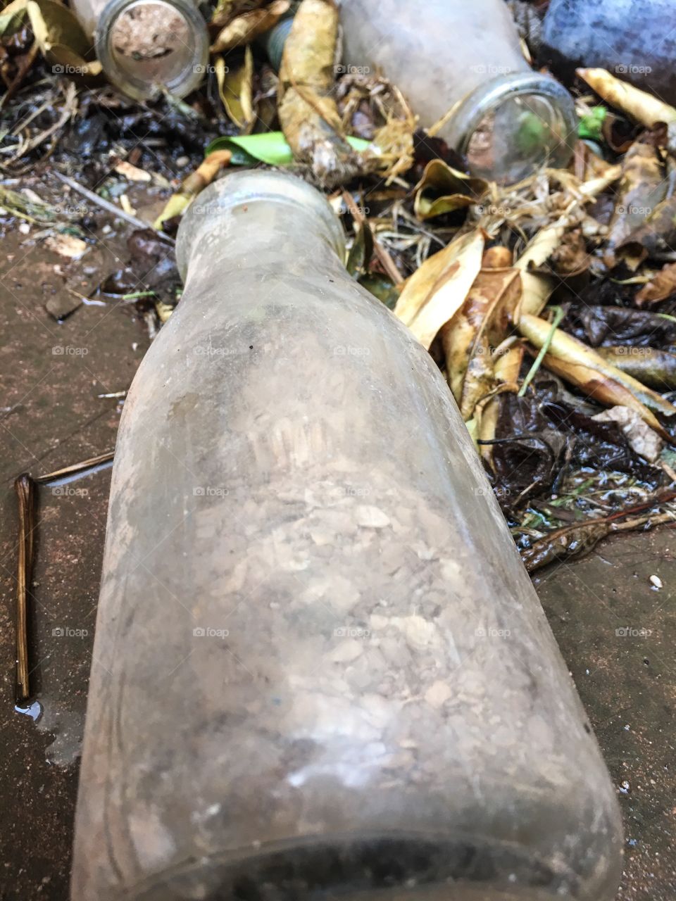 Old bottle on its side and bottle dump 