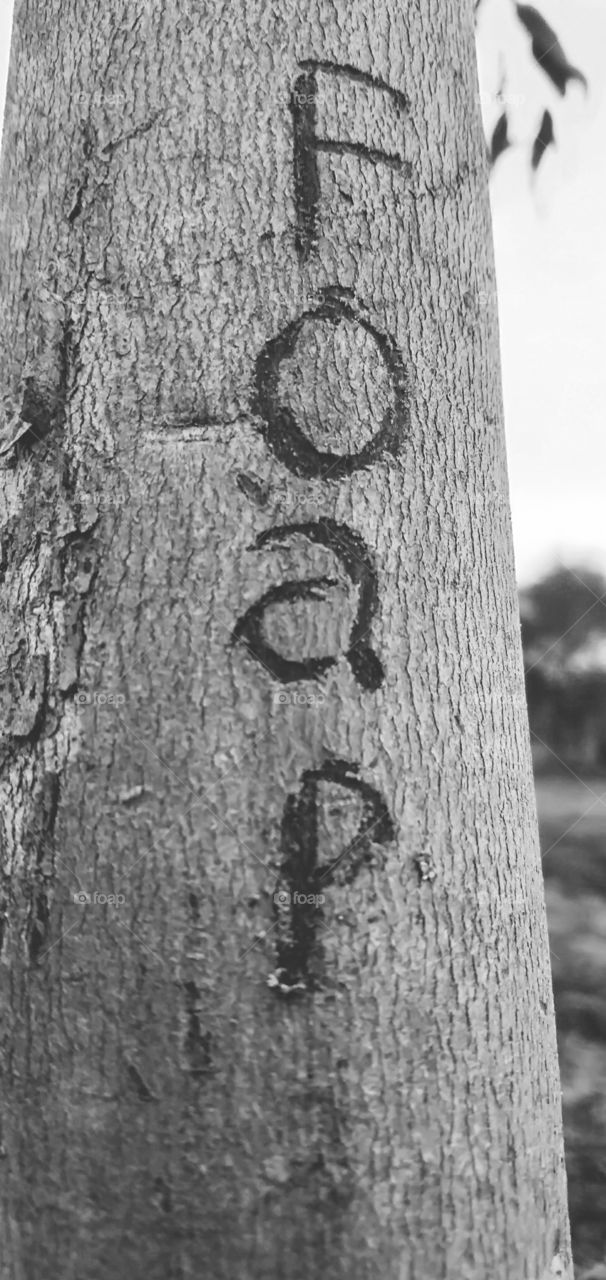 Foap lover creativity which is Giving you peace and successful lives.