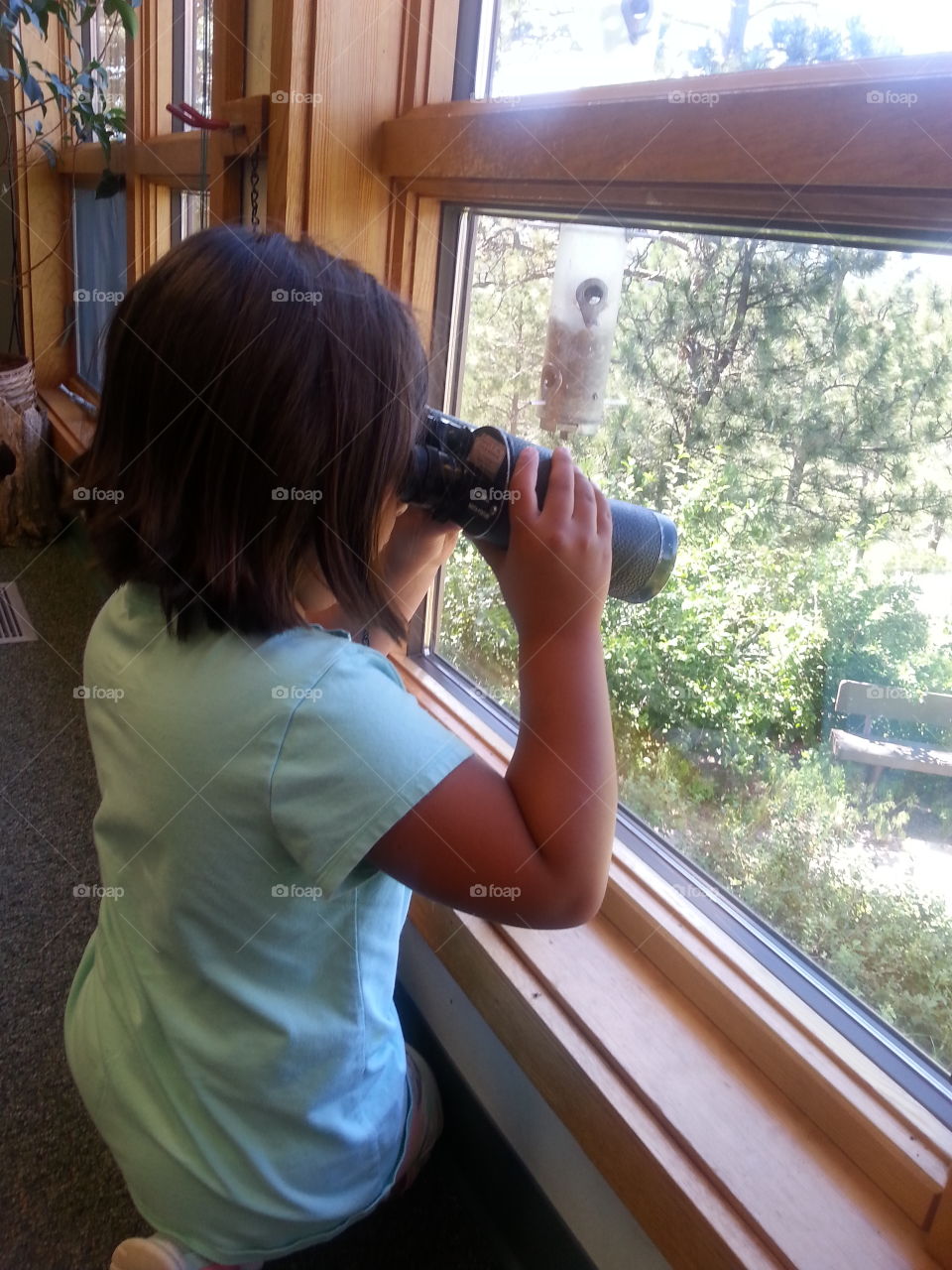 Bird waching. Look for birds out side of a museum  