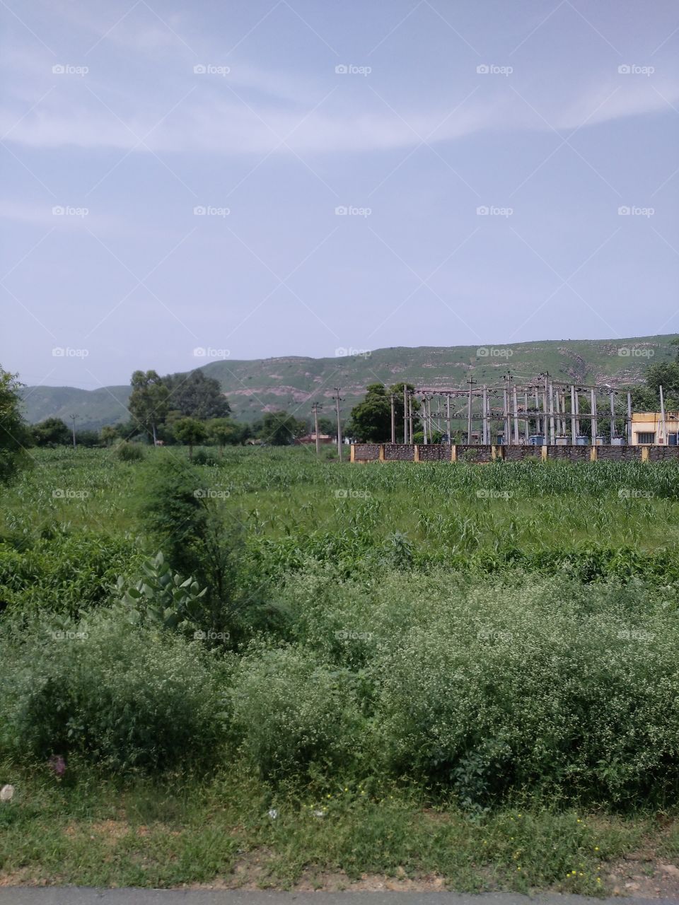 From window of a bus .