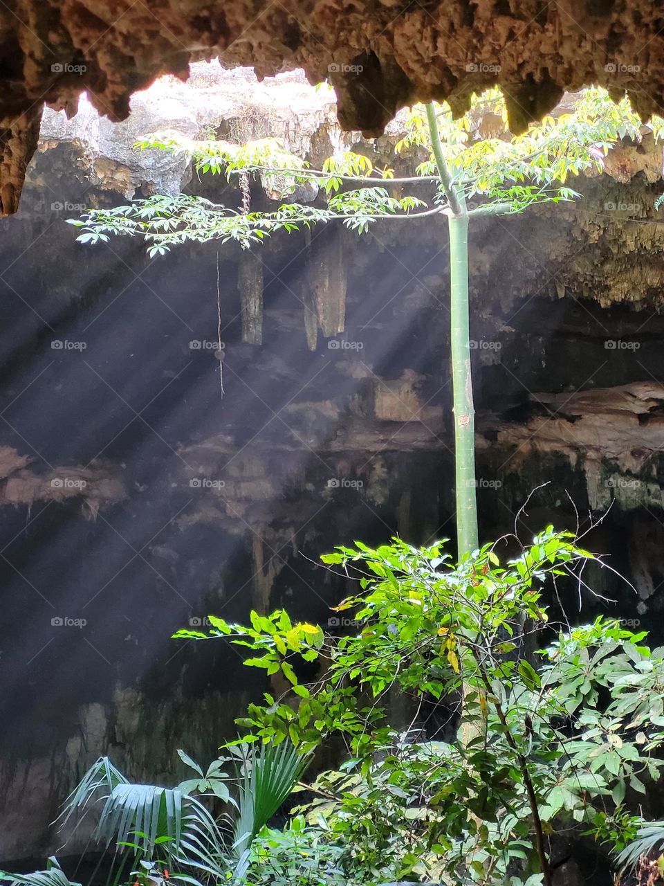 dentro del cenote mexicano