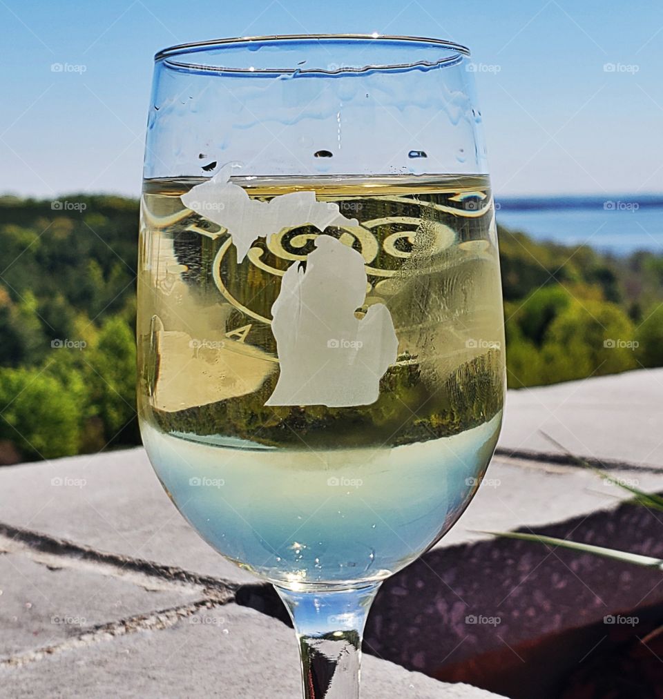 Scrumptious, delicious glass of refreshing wine. With the State of Michigan, mitten on the wine glass.