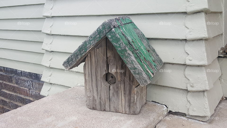 Bird house