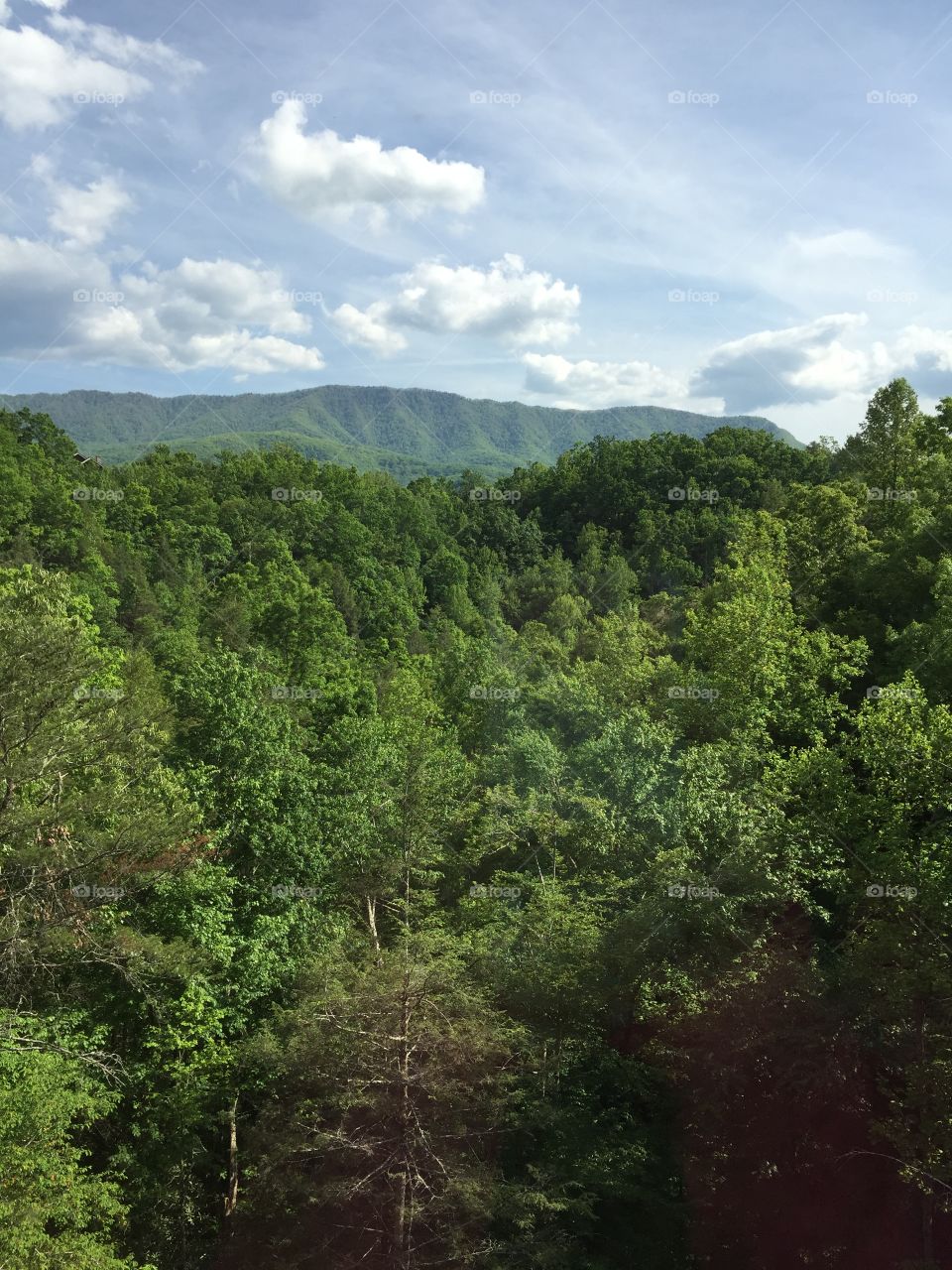 Smokey Mountains in Gatlinburg, Tennessee 