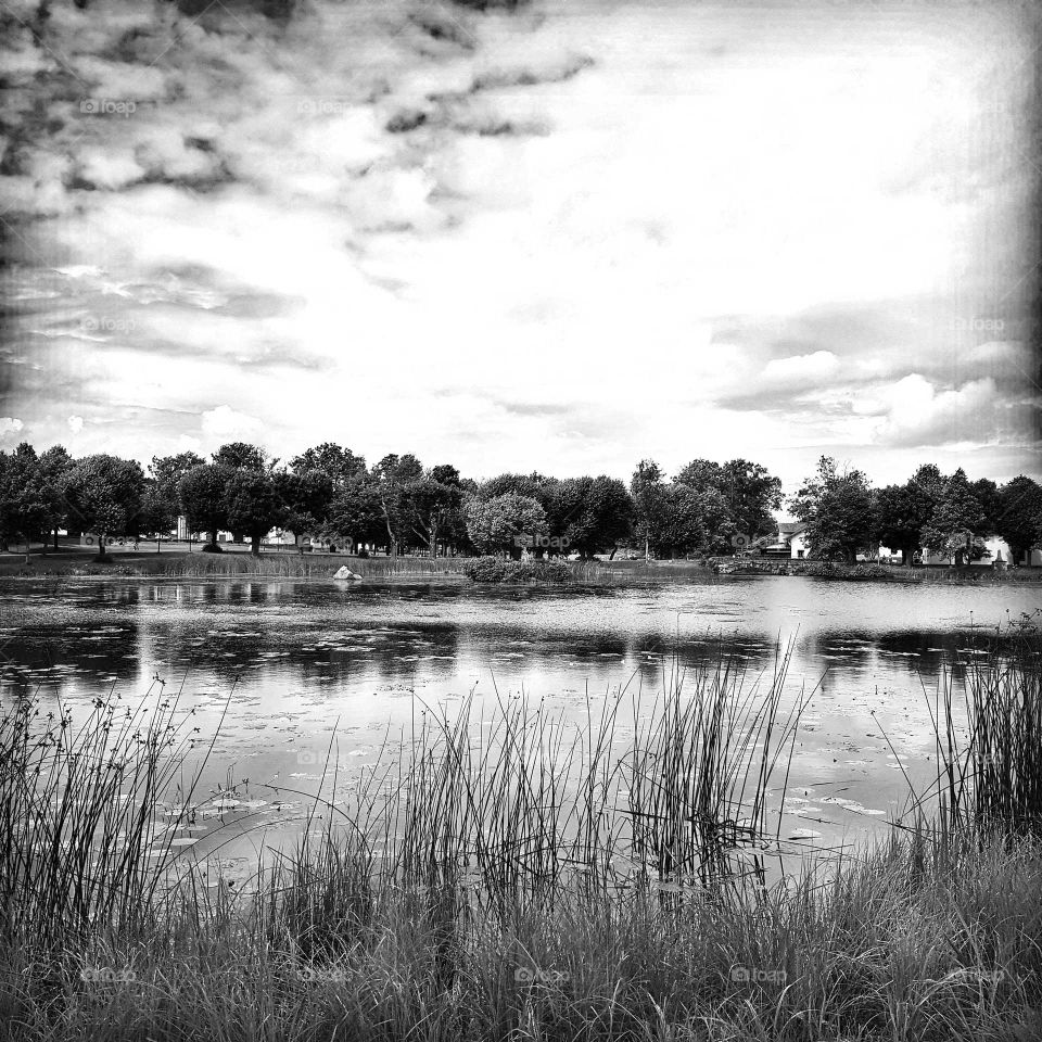 Black and White view