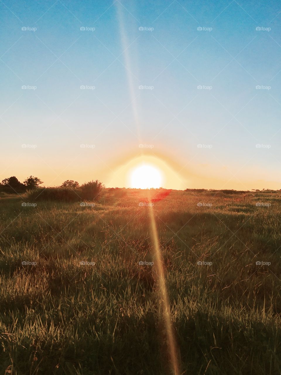 E esse nascer do sol de beleza incrível?