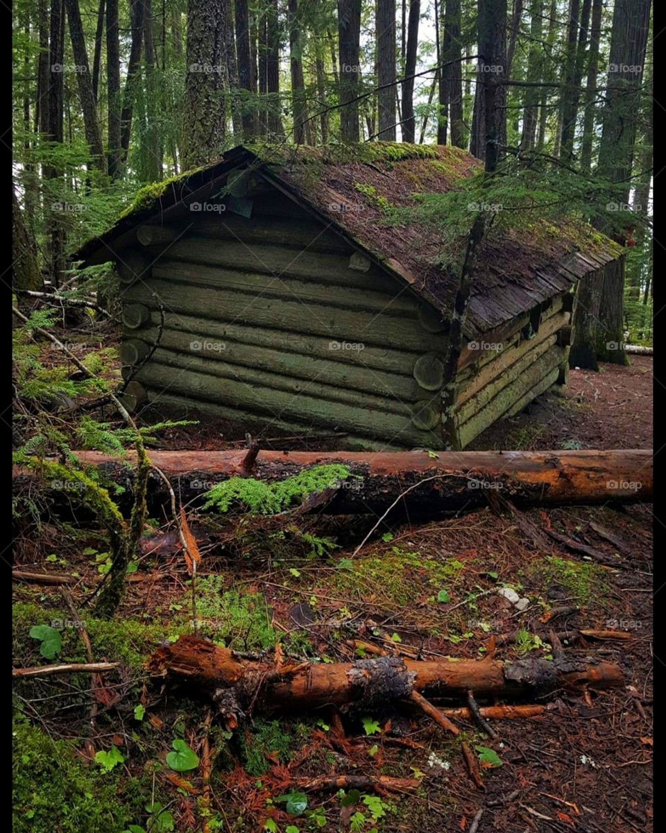 In The Heart Of Nature,
We Find Ourselves.