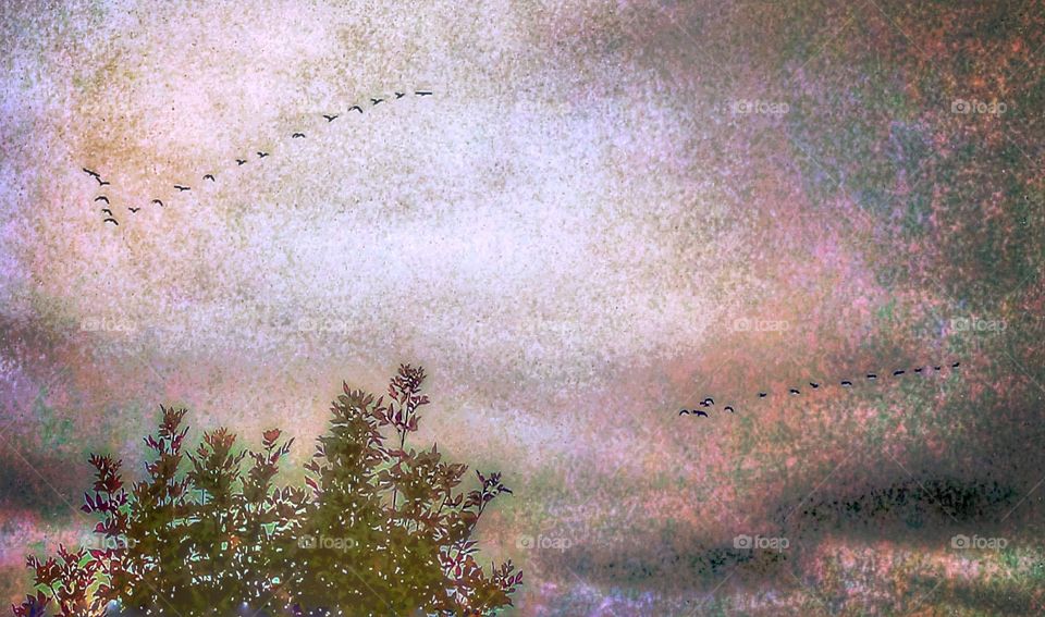 artistic photo resembling painting geese flying south