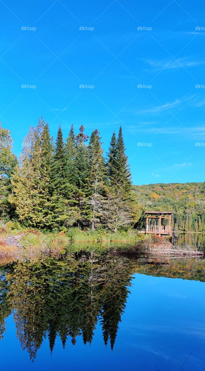 Reflection of autumn.