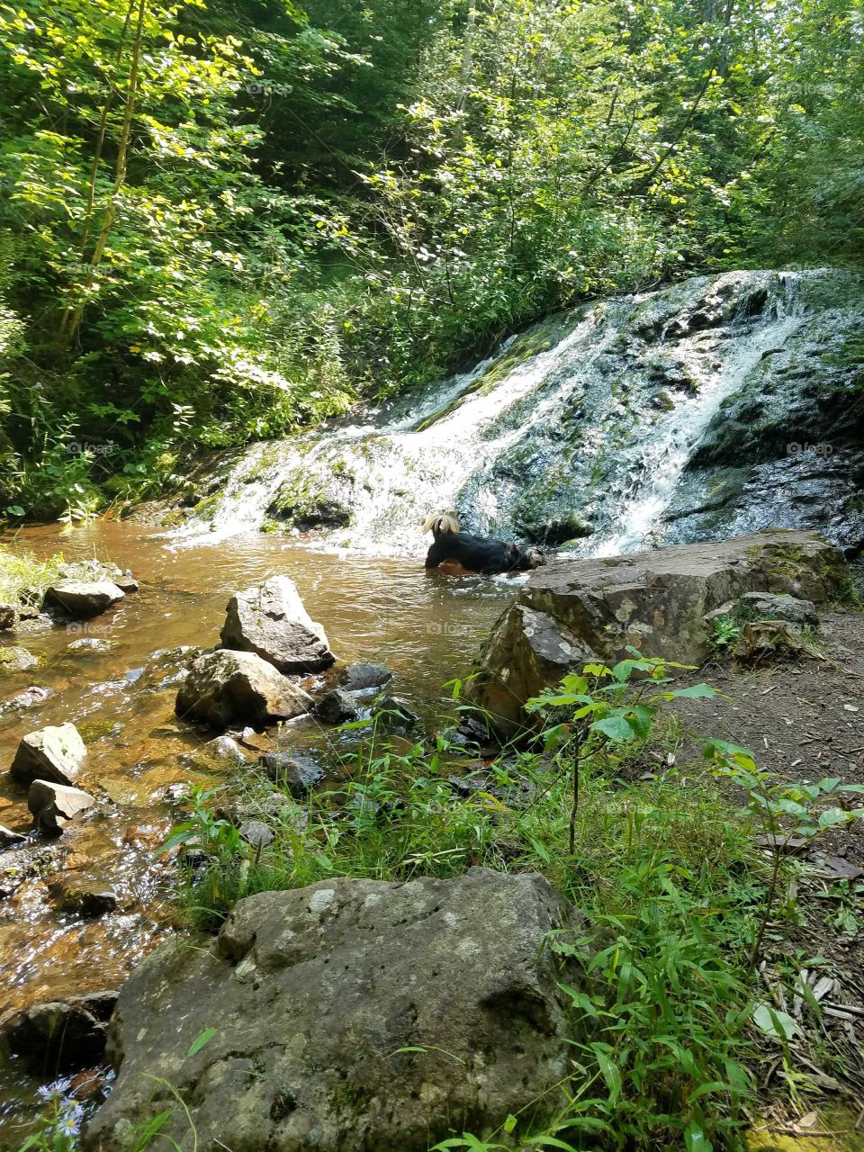 Loving the waterfall
