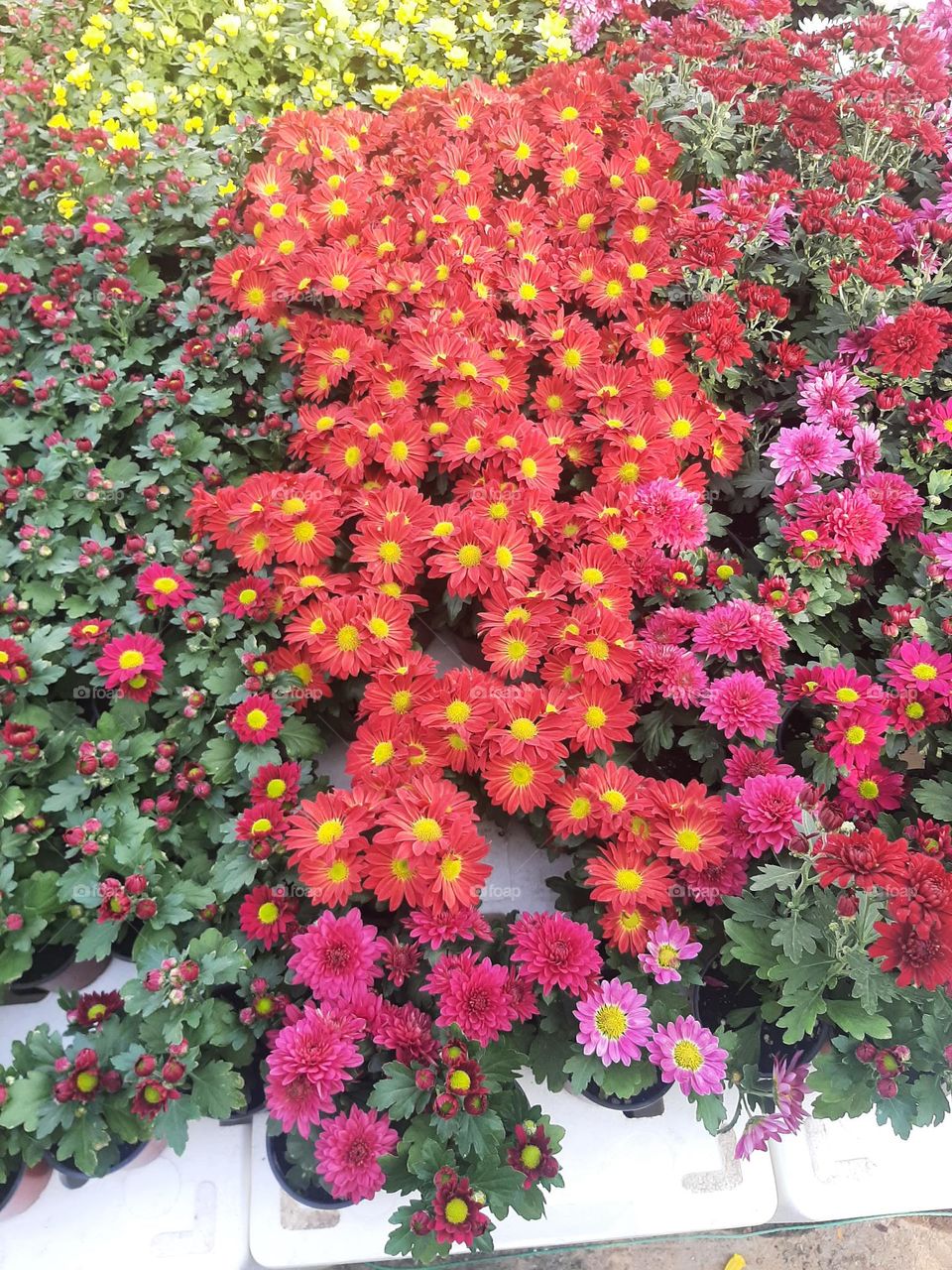 Please make me happy, I am poor, I need your help with support