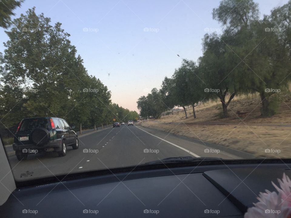 Road, Car, Tree, Vehicle, Transportation System