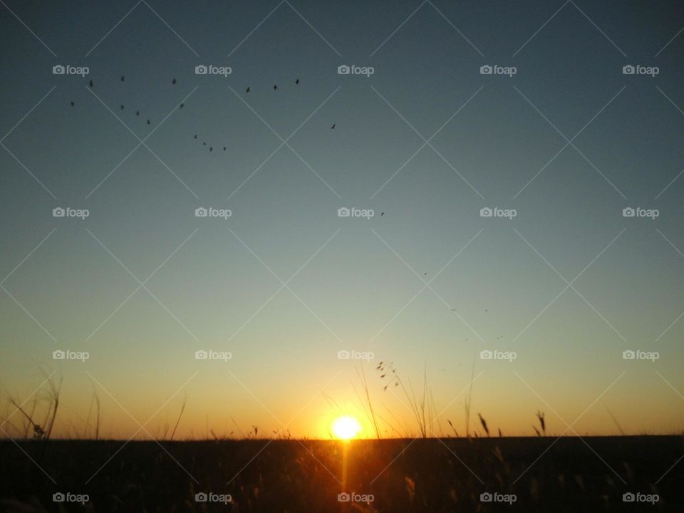 Sunset, Landscape, Sun, Sky, Light