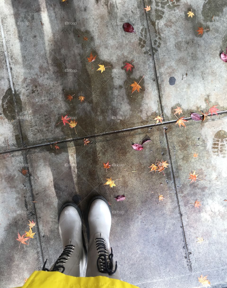 An ugly grey cemented sidewalk can look beautiful when paying attention. 