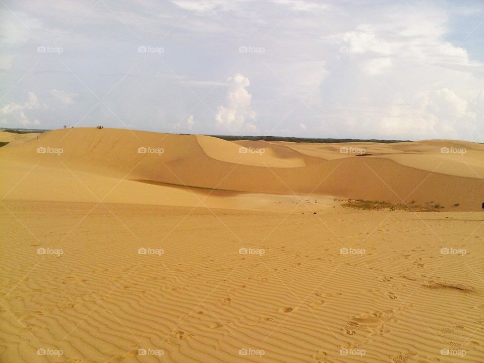 Beautiful desert of Coro Venezuela, golden and bright sands.