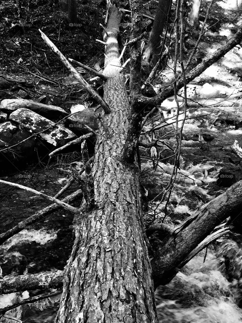 Hiking around Foster Falls in South Cumberland State  Park in Tennessee