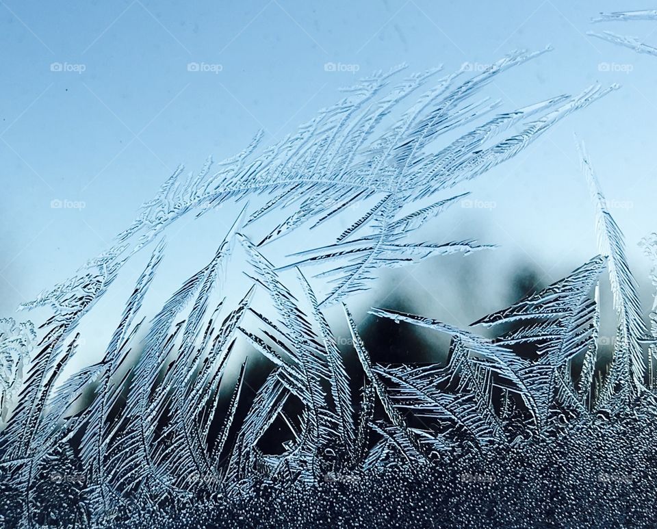 Frost on my window! Burrrrrr.... 