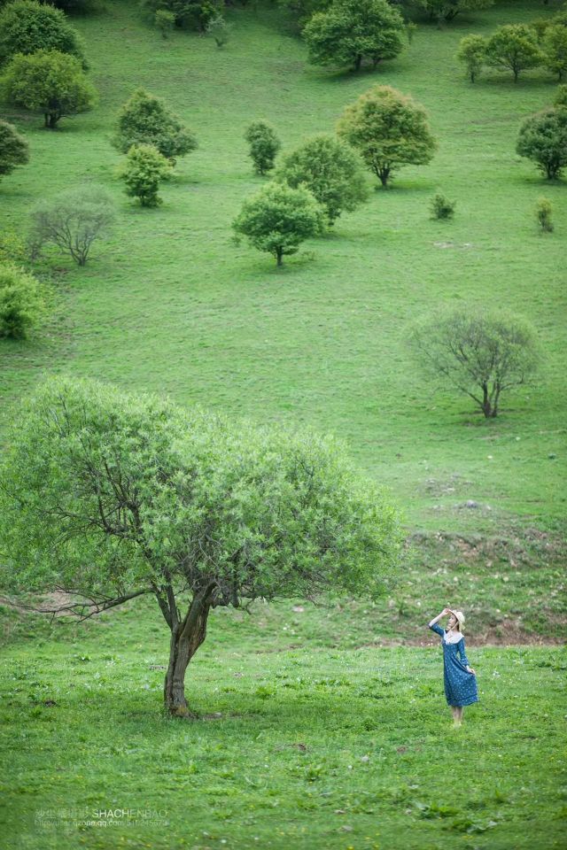 Summer snapshot,green world, fresh air