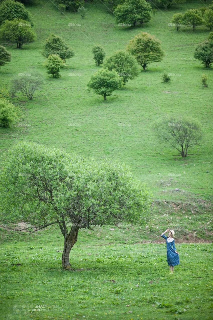 Summer snapshot,green world, fresh air