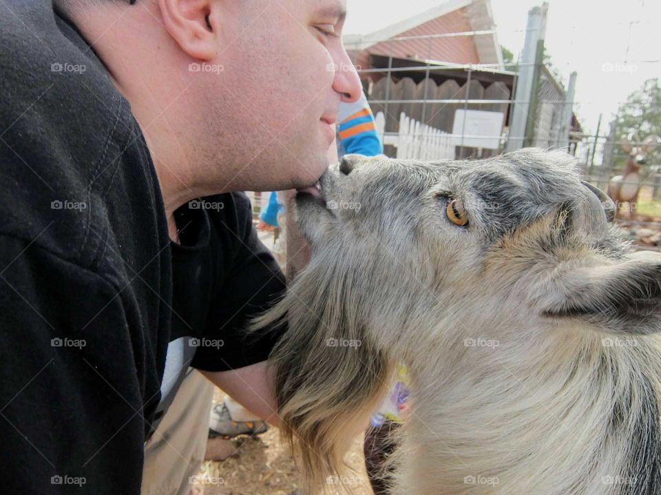 Goat kiss