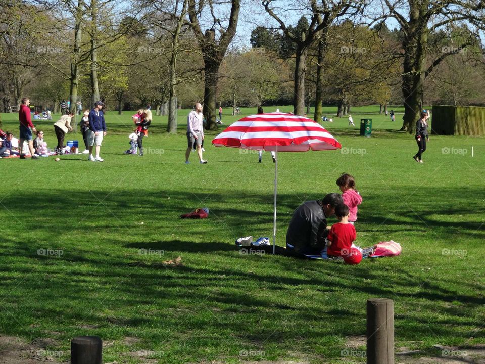 landscape of family leisure activities on a picnic