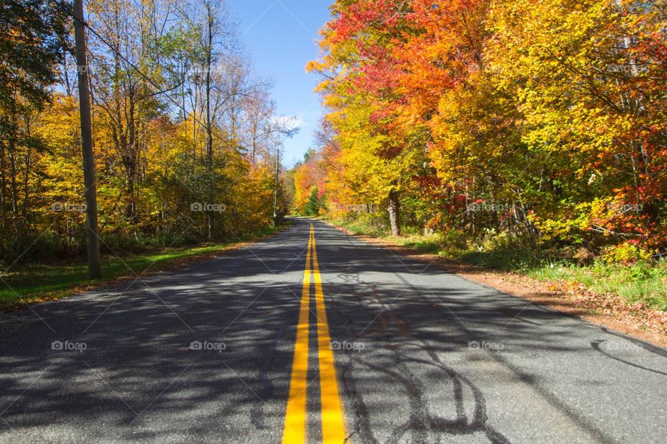 Fall road 
