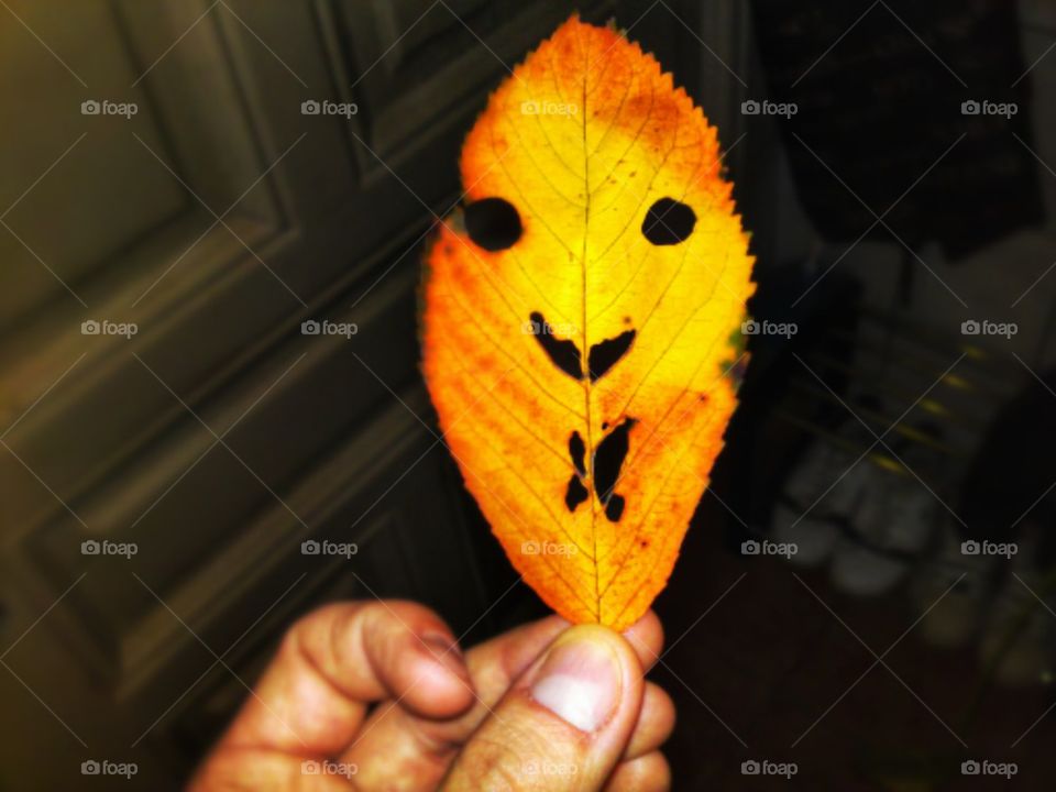Fall leaf