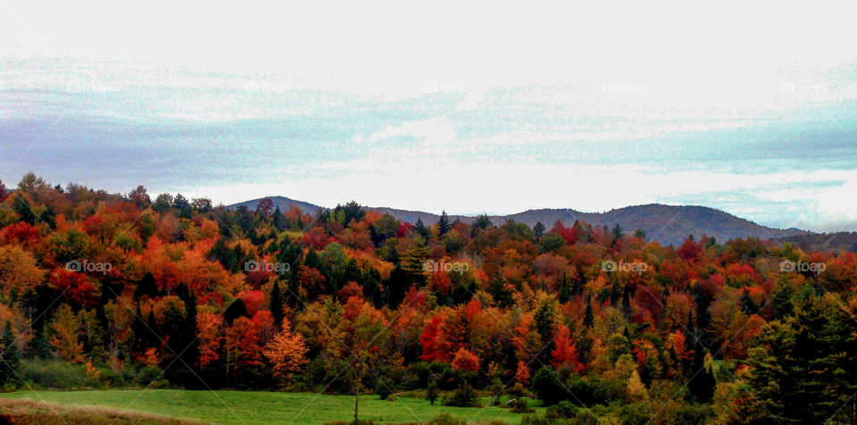 Beautiful Fall foliage amidst the mountains of Vermont.