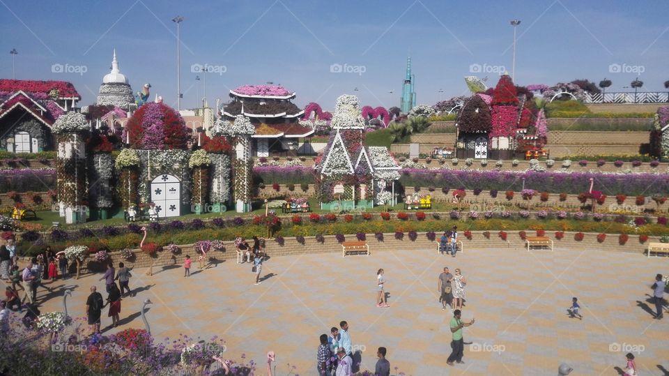 Miracle garden