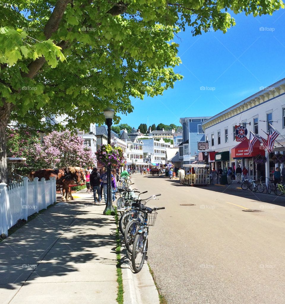 Summer on the island