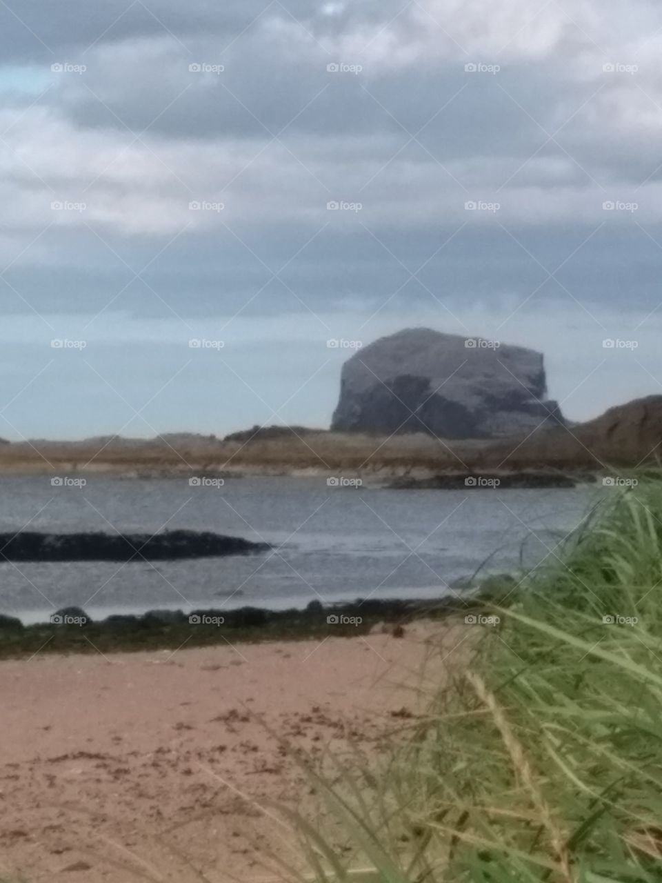 Another picture of the bass rock in August 2019