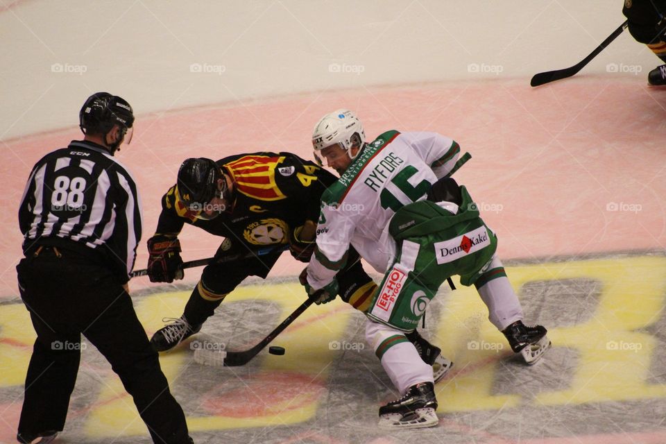Brynäs if meters rögle