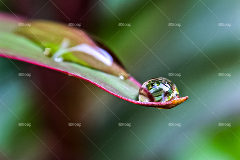 That I like after it rains.