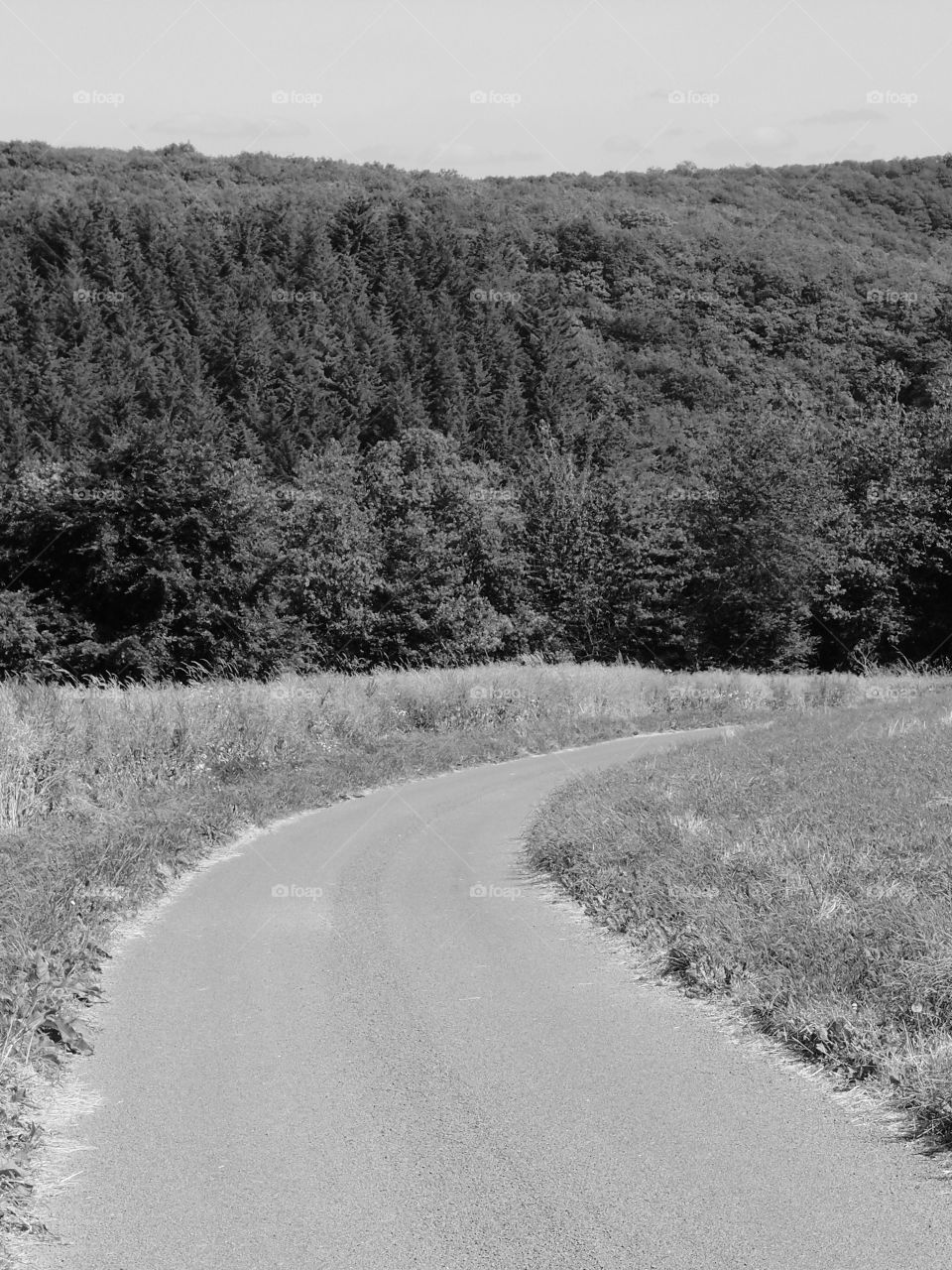 A small rural backroad winds through the hills and trees of Northern Luxembourg on a sunny summer day. 