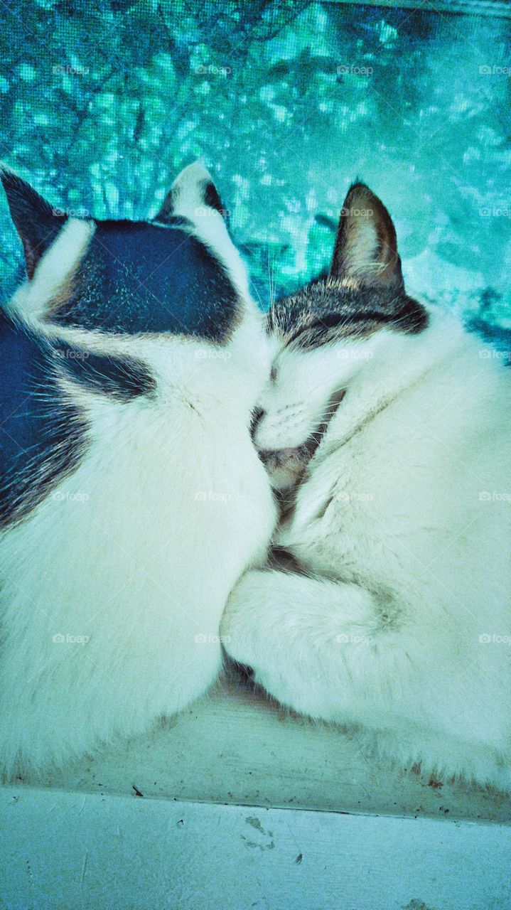 Lean on me, brother.