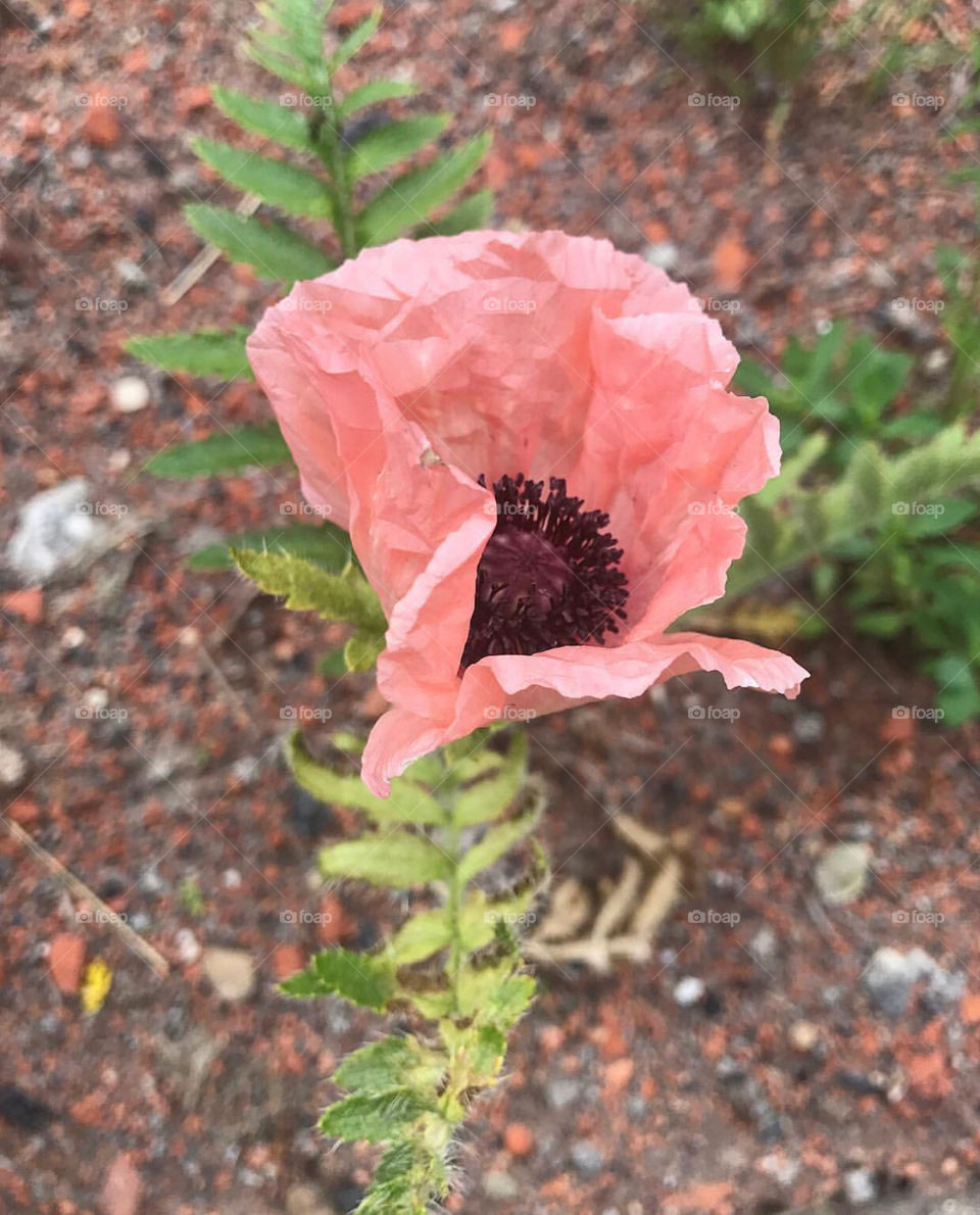 Einwendung zerknittert. 😃