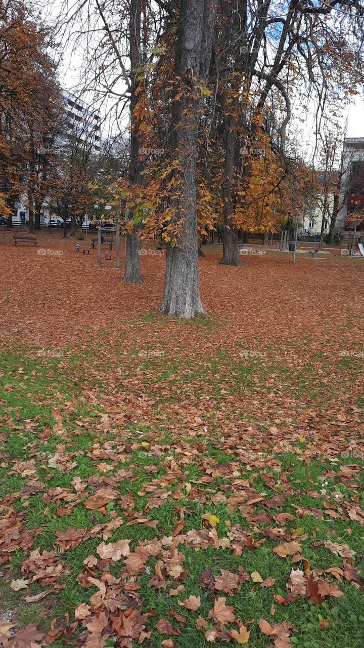 Herbst 